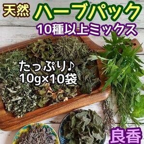 天然 和ハーブバスパック 【10g×10袋】10種以上! ◎ハーブ湯 ハーブ蒸し