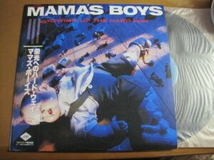 Mama's Boys - Growing Up The Hard Way /ALI-28051/帯付/国内盤LPレコード