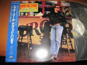 David Hallyday - True Cool /デヴィッド・ハリデイ/C28Y0333/帯付/国内盤LPレコード