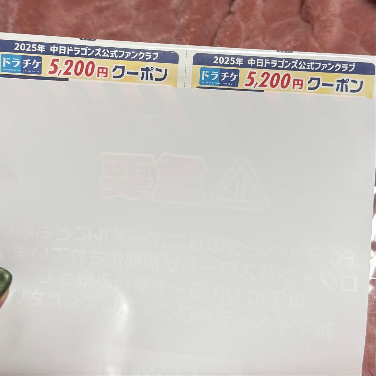 ドラチケクーポン 2025 5200円×2 枚 中日ドラゴンズ バンテリン ドラチケクーポン 2025 5200円×2 枚 中日ドラゴンズ バンテリン