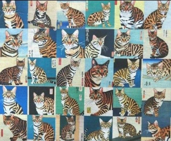 【ゆきちゃん限定】X896-6 ベンガル猫 浮世絵 パネル 布 106cm×1m