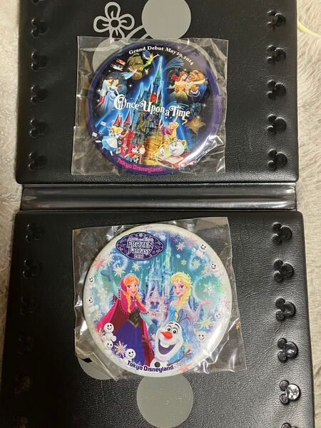 未使用 ディズニー缶バッジ 2点セット アナ雪 プリンセス