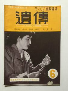 やさしい図解雑誌「遺傳」1952年(昭和27年)6月号●養殖真珠はどうしてできるか/赤ん坊の血液いれかえ/珍しい雄の三毛猫 [管A-53]