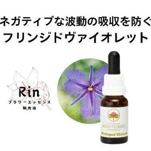 フリンジドヴァイオレット オーストラリアンブッシュフラワーエッセンス