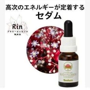 セダム オーストラリアンブッシュフラワーエッセンス