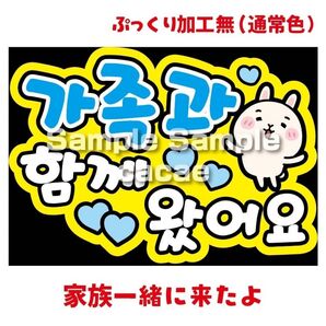 【即購入可】ペンサボード文字 ファンサパネル A4サイズ メンカラ コンサート ライブ 推し色 家族一緒に来たよ ハングル 韓国語