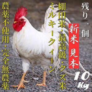 自然栽培/完全無農薬】くず米 大人なに なれなかった お米 鳥のエサ 10kg