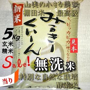【超希少】ミルキークイーン 酵素米 玄米5kg「無洗米に精米」 (コシヒカリ つや姫 ミルキークィーン)