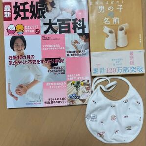 バーバリー よだれかけ・スタイ 世界にはばたく男の子の名前・命名本 妊娠大百科のうち1冊 バラ売り可