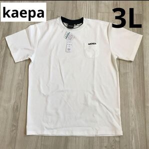 大きいサイズ メンズ 紳士 ケイパ Tシャツ