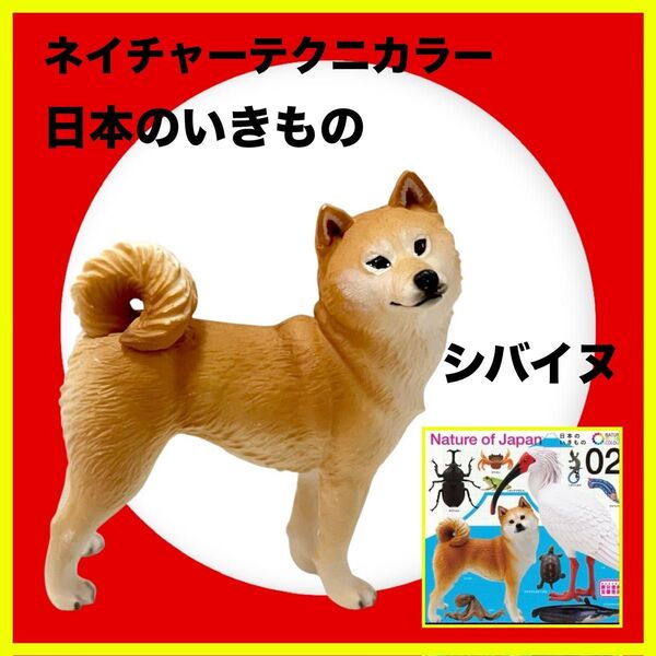 ネイチャーテクニカラー 日本のいきもの No.11 シバイヌ 芝犬 フィギュア いきもん キタンクラブ 綺譚倶楽部