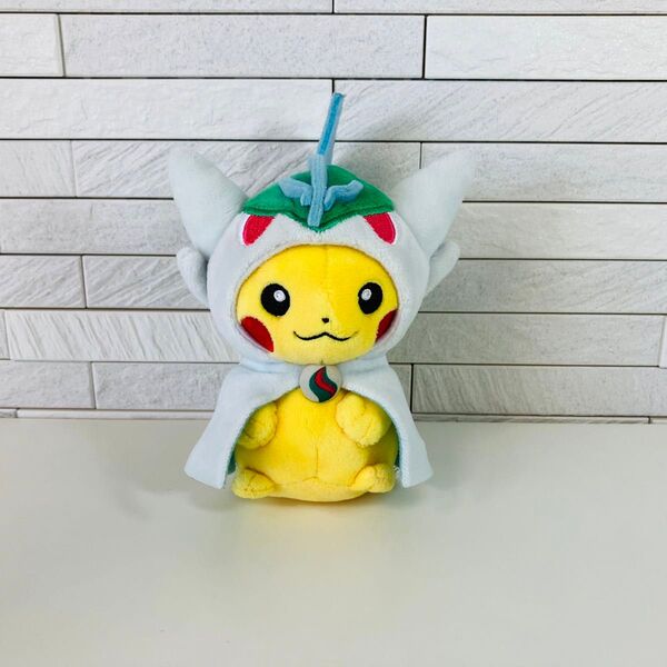ポケモン オリジナル マスコット メガエルレイドのポンチョを着たピカチュウ