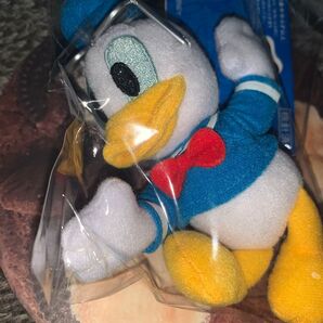 ディズニー Disney ドナルド アヒル キーホルダー ぬいぐるみ マスコット ドナパル パルパルーザ