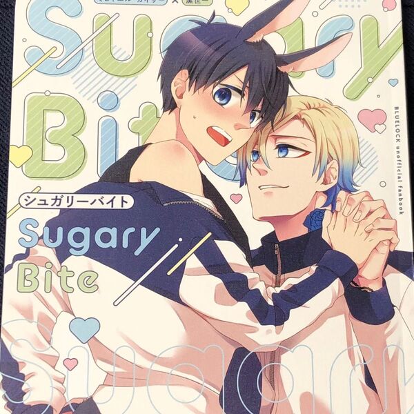 ブルーロック同人誌 カイ潔