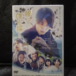 線は、僕を描く DVD(通常版) 横浜流星 主演作 未開封