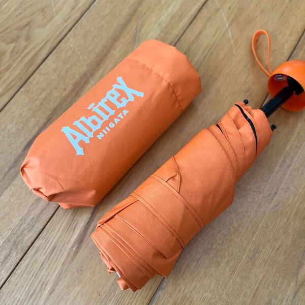 アルビレックス新潟 限定品 晴雨兼用折り畳み傘 日傘兼用