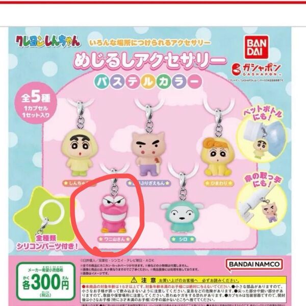 めじるしアクセサリー クレヨンしんちゃん ワニ山さん