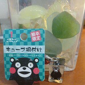 熊本限定 キューブ 値付け くまモン