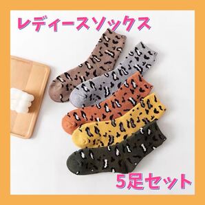 靴下 くつ下 ソックス レディース おしゃれ レオパード柄 5足セット