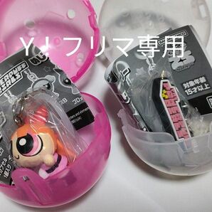 パワーパフ・ガールズ☆めじるしアクセサリー ブロッサム&ロゴ