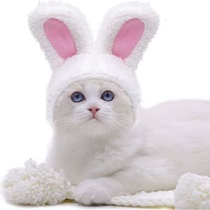 猫 犬用帽子 着ぐるみ コスプレ うさぎ 可愛い 面白い 暖かい 防寒対策 ハロウィン クリスマス 兎年 動物