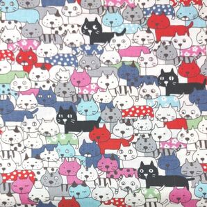 *405*ぎゅうぎゅうのねこ柄布地 カラフル はぎれ