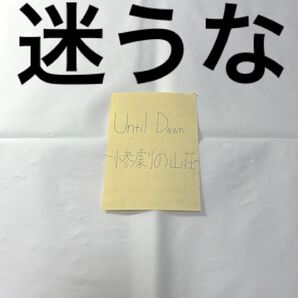 Until Dawn(アンティルドーン) -惨劇の山荘- ※メモ用紙に書いた美字と助言(PS4とPS5、switch対応可)