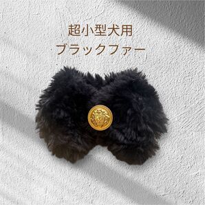 超小型犬猫用 ゴールドボタンのおしゃれ手編みブラックファーケープ(アクセサリー)
