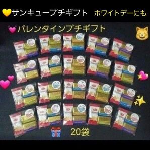 本日特価!サンキュープチギフト ホワイトデー GODIVAチョコ、Richy オートミール 詰め合わせ 20袋 ΡΡ①