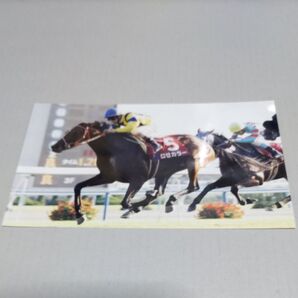 藤田伸二さん 元騎手 写真 ロゼカラー デイリー杯3歳S 競馬 ジョッキー サイズ13×20