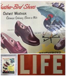 1950年代 LIFE誌切り抜き広告アンティークポスター★Weather bird shoes靴