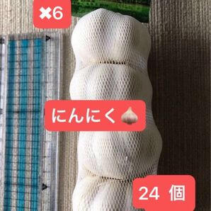 にんにく 24個 (横幅約4.5㎝)