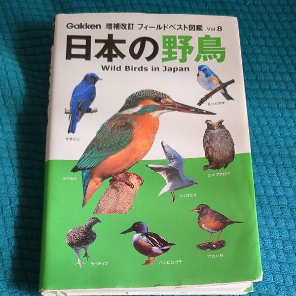 日本の野鳥