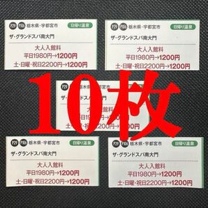 ザ グランドスパ南大門 大人 入館料 割引券 10枚