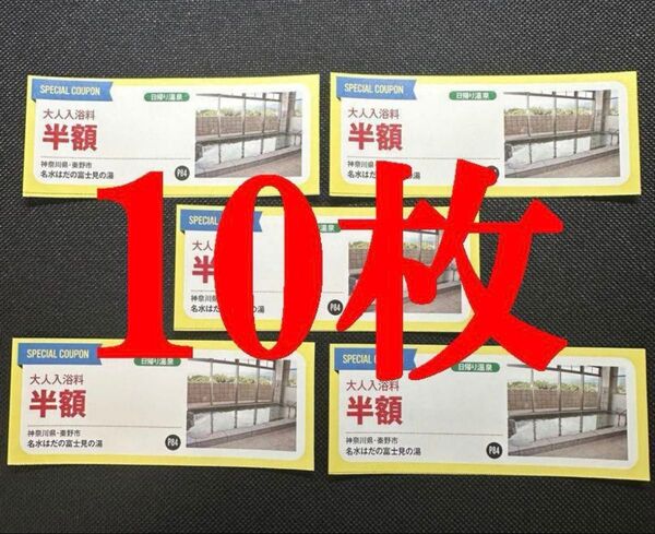 神奈川県 秦野市 名水はだの富士見の湯 大人入浴料半額 10枚セット