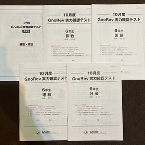 グノーブル 実力確認テスト GnoRev 6年生 10月度(2024年)