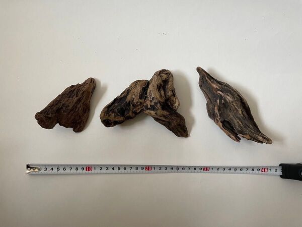 天然流木 3点セット - アク抜き済み - パルダリウム ビバリウム シェルター