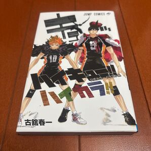 ハイキューカラーイラスト集