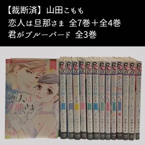 【裁断済み】恋人は旦那さま 君がブルーバード 全巻 山田 こもも