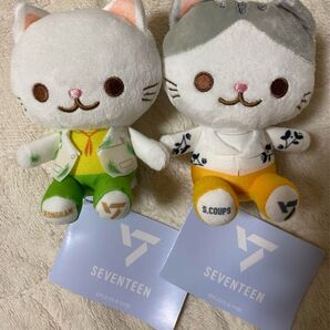SEVENTEEN ミニぬいぐるみJEONGHAN&S.COOPS