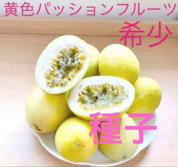 黄色パッションフルーツの種子30粒