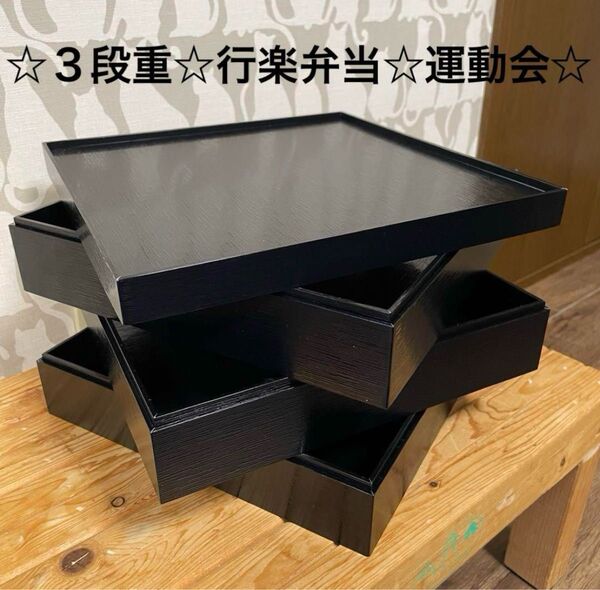 ☆3段重☆行楽弁当箱☆運動会☆