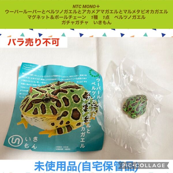 ネイチャーテクニカラー ウーパールーパーとベルツノガエル マグネット&ボールチェーン 1種 1点 ベルツノガエル ガチャガチャ