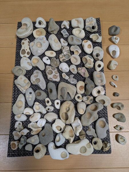 海岸採取♪ 丸いくぼみがある石☆