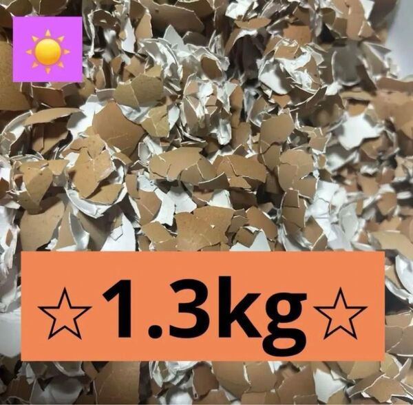 卵の殻 赤卵 1.3kg