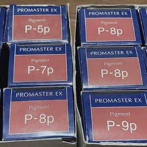 【新品・未使用】プロマスターEX ピグメント計12本【値引不可】