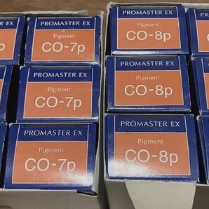 【新品・未使用】プロマスターEX ピグメント計12本【値引不可】