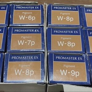 【新品・未使用】プロマスターEX ピグメント計12本【値引不可】