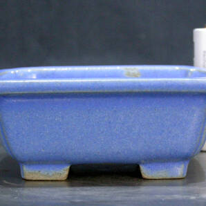 柴勝 盆栽鉢 奥行7cm 横幅8.7cm 高さ3.5cm