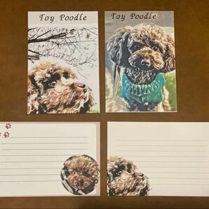 トイプードル(ブラウン) ポストカード 手書き風(印刷版) 4枚セット